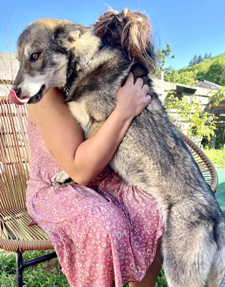 Mélissa Fabresse élevage de chiens