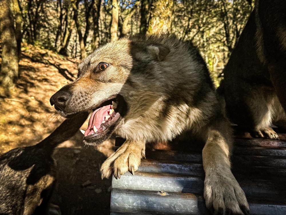 482006689_1182367903675874_3580209938025423003_n