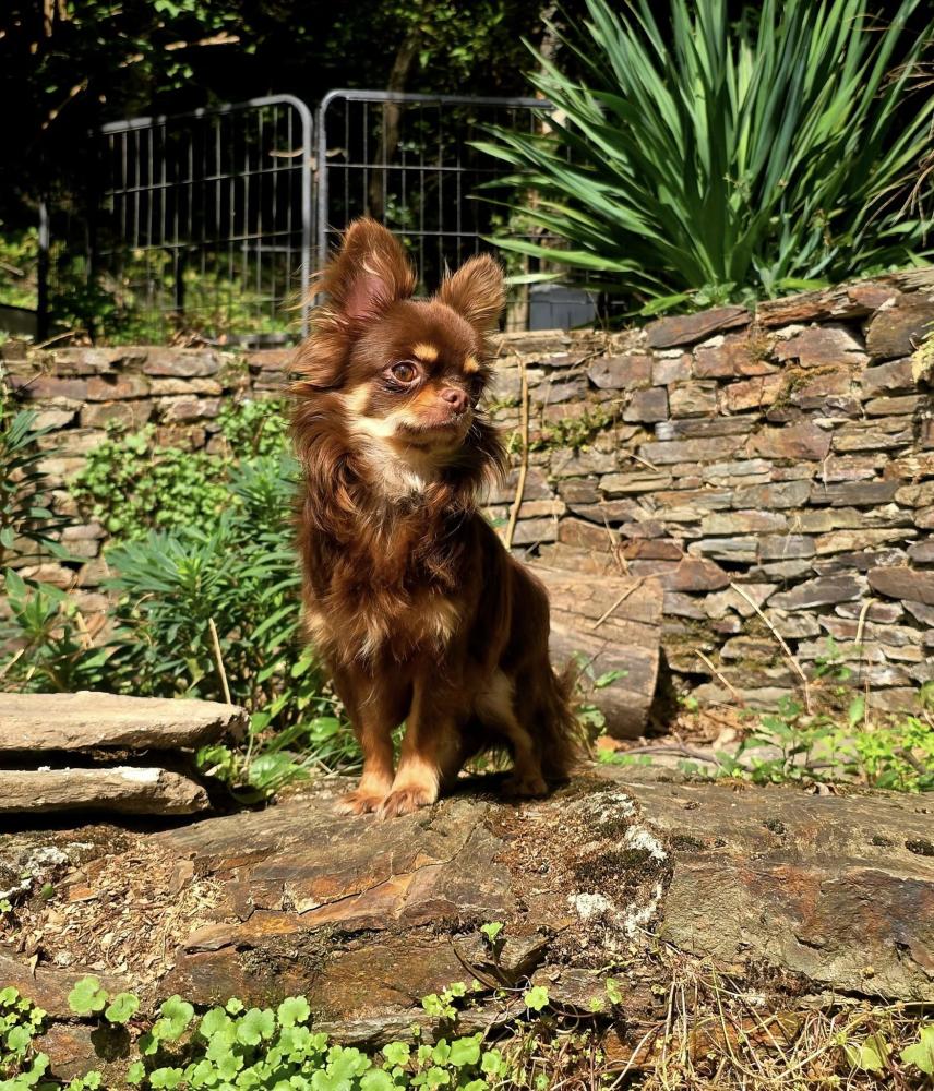 546243263_1329846555594674_6804958072317967786_n