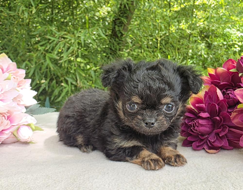 20260427_134533